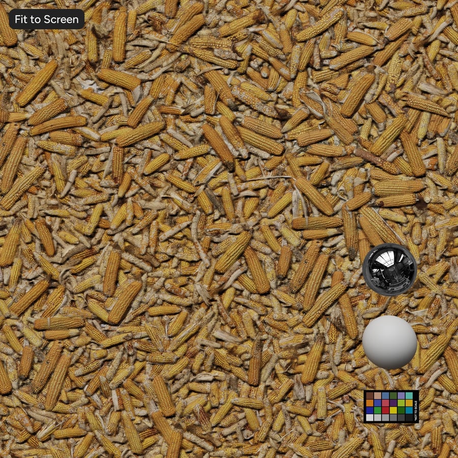 Dried Corn Cob Pile Texture