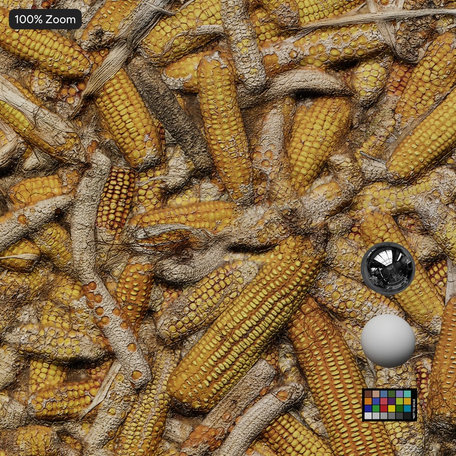 Dried Corn Cob Pile Texture