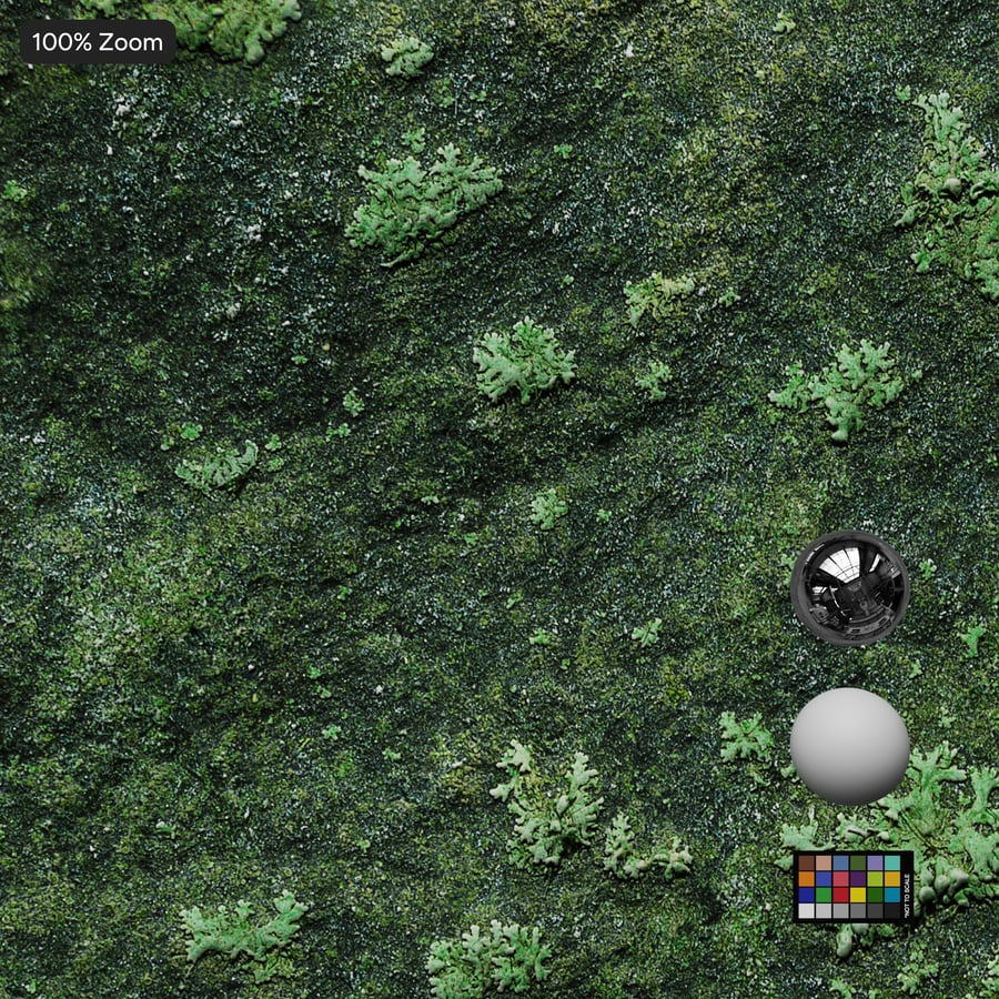 Tekstura Mossy Rock
