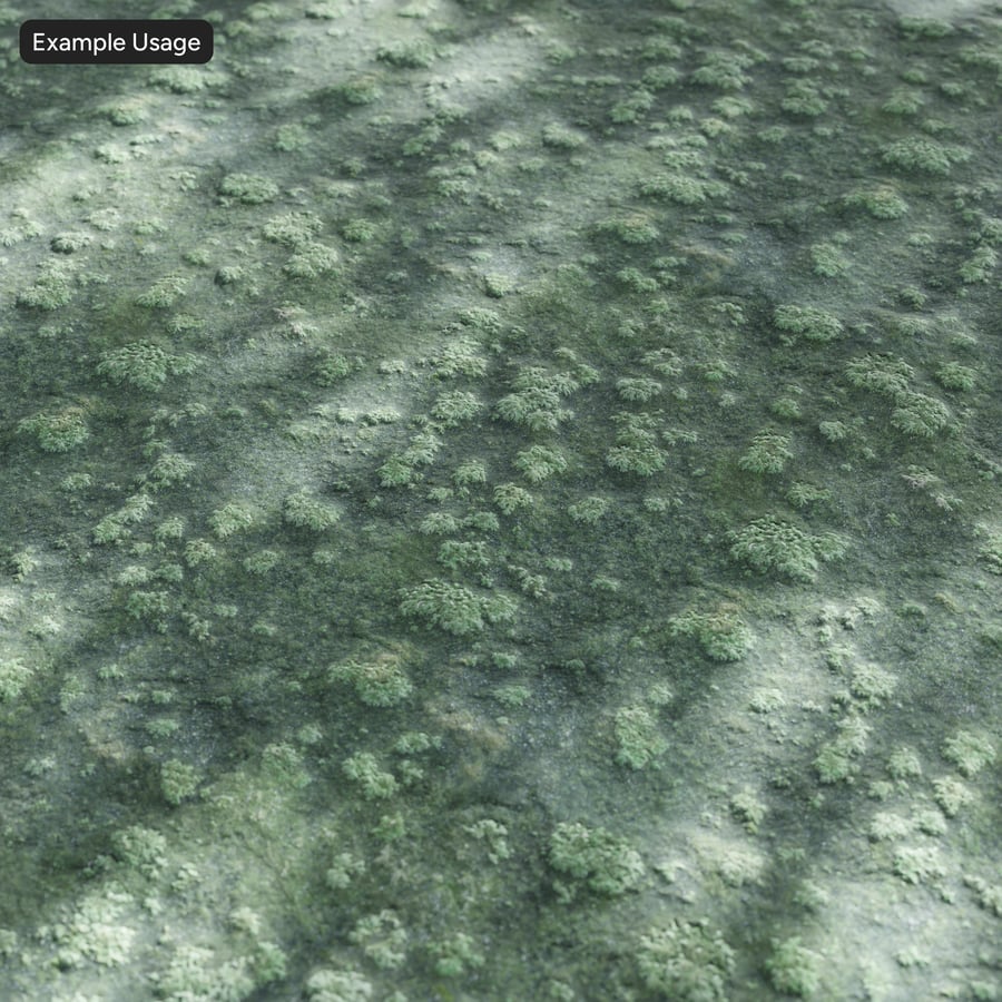 Tekstura Mossy Rock