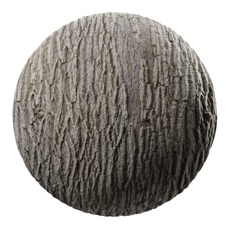 Ridged Hardwood Bark Texture, Light Brown