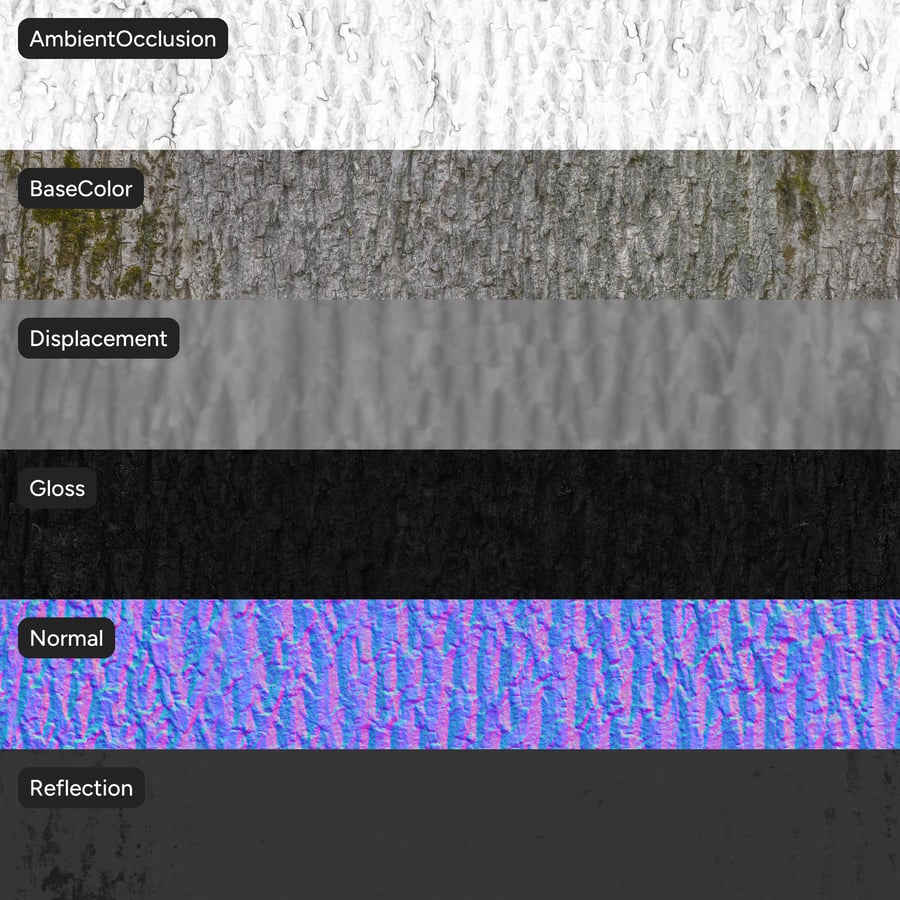 Textura musgosa de corteza caduca, gris