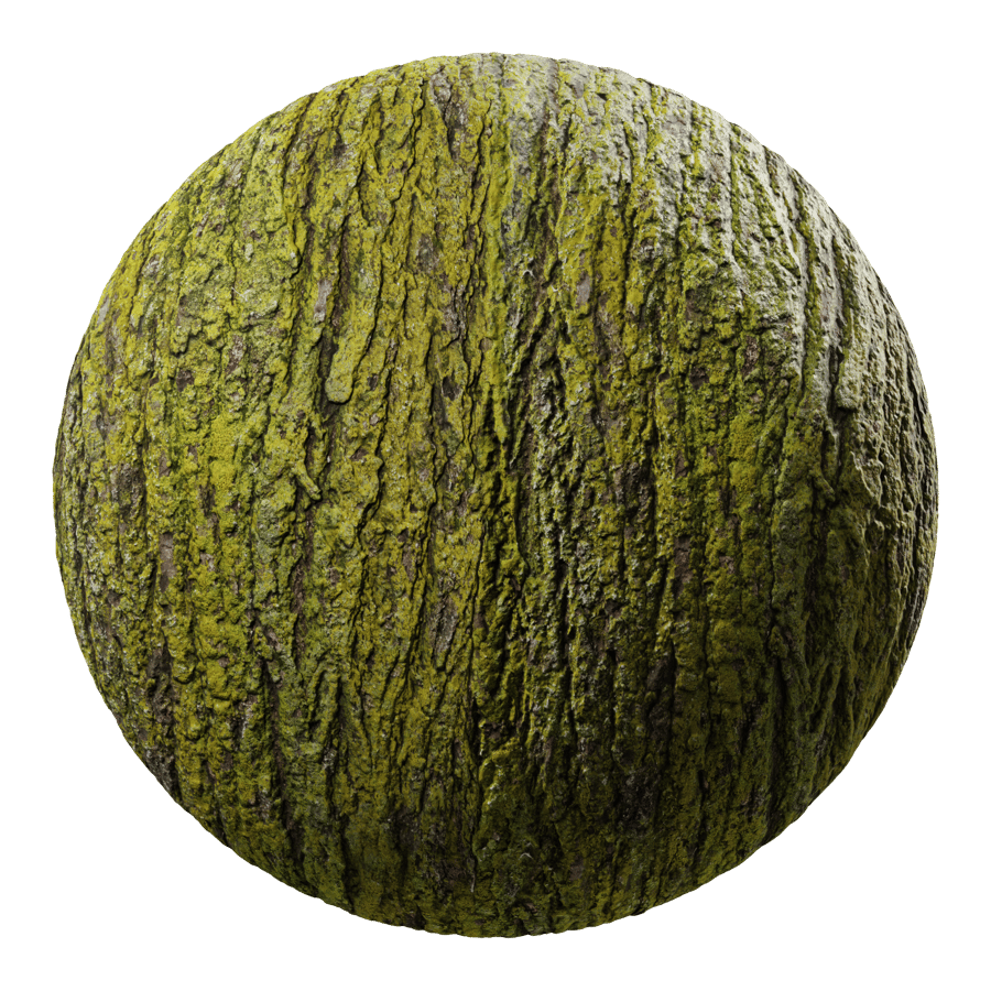Mossy Bark Texture