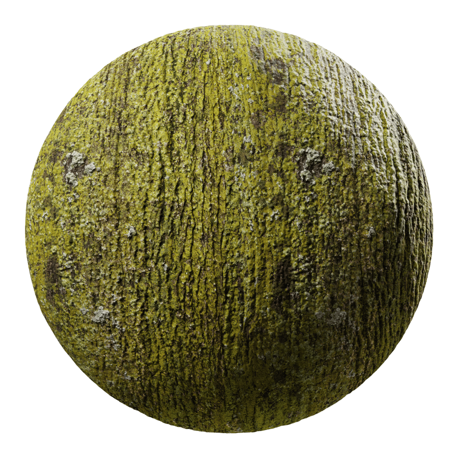 Heavily Mossy Bark Texture