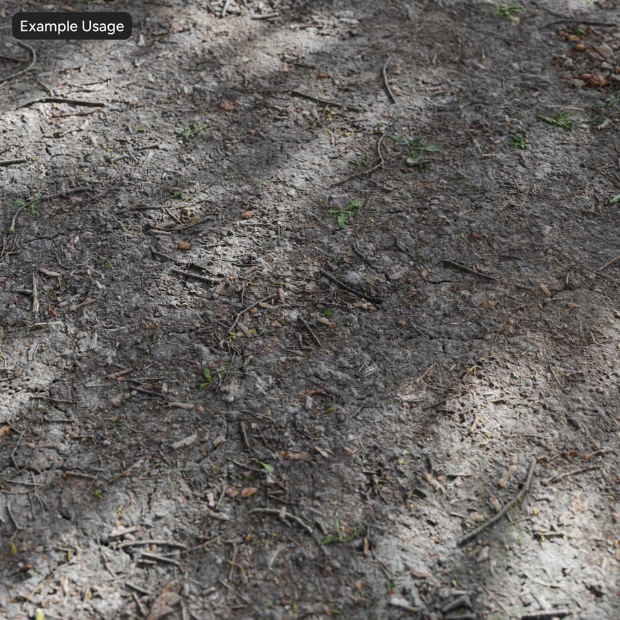 Scattered Small Twigs Forest Texture