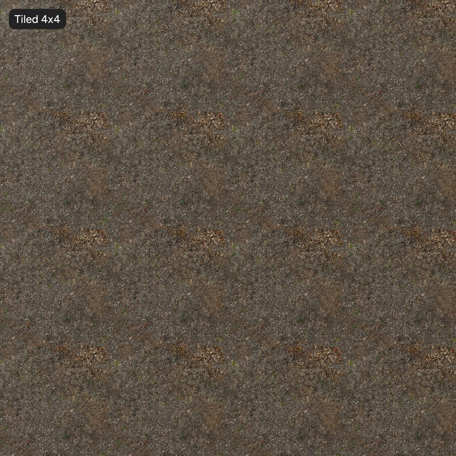 Scattered Small Twigs Forest Texture