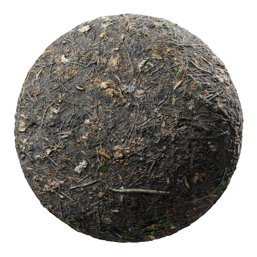 Dried Vegetation Forest Texture