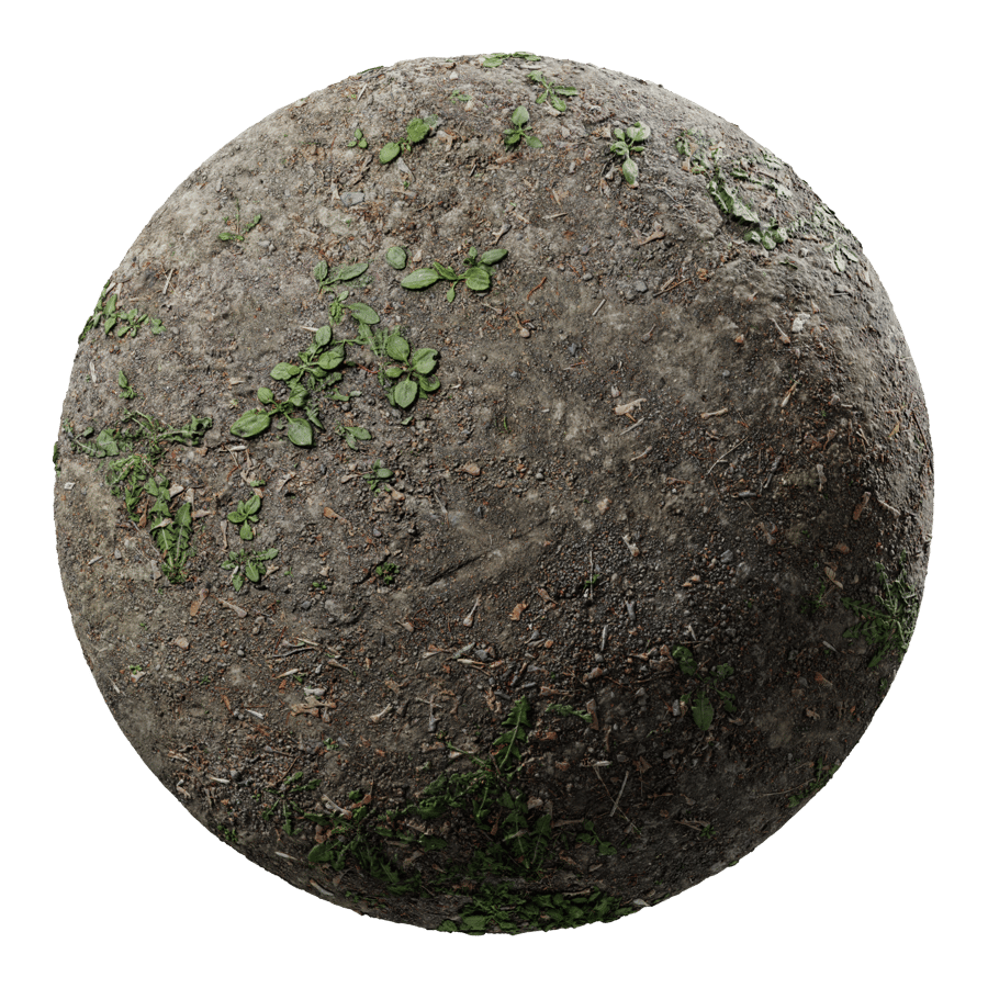 Sprouting Weeds and Scattered Small Rocks Texture