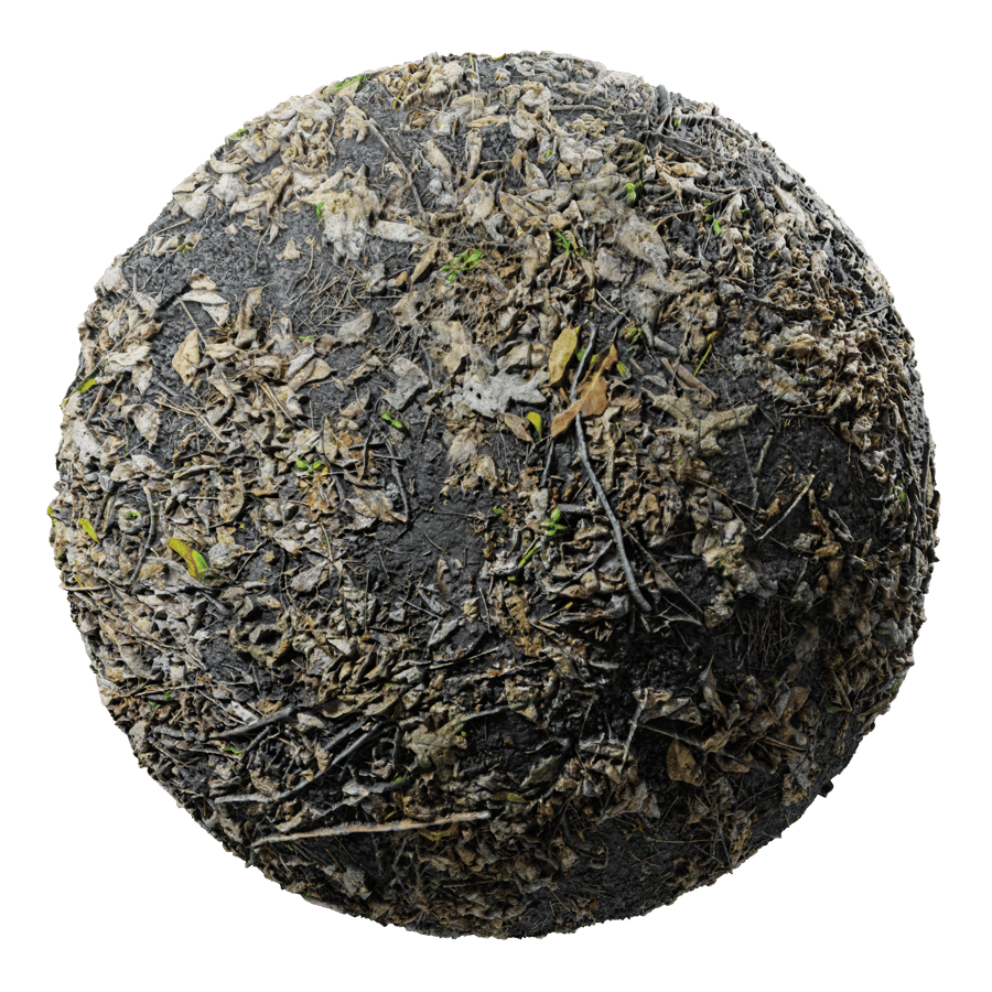 Getrocknete Blätter Waldtextur, Schwarz