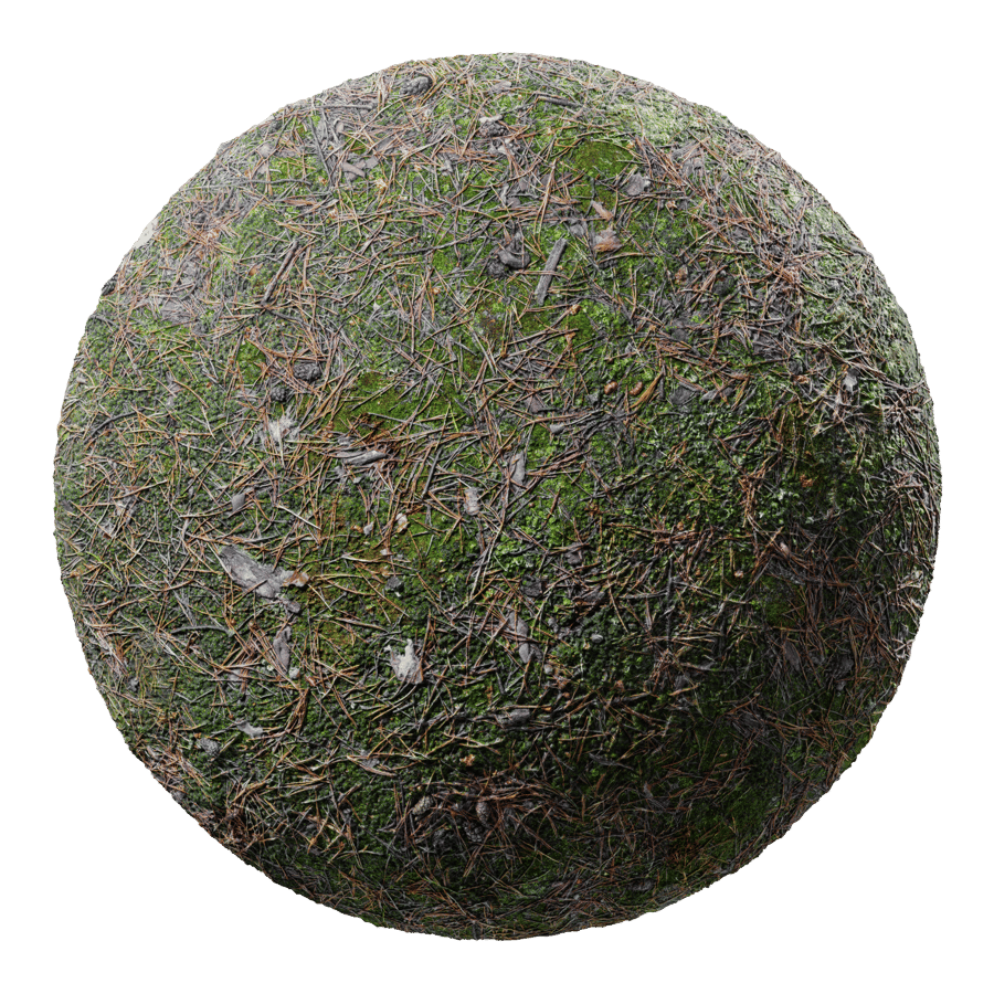 Pine Needles on Mossy Forest Texture