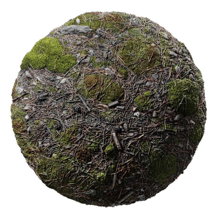 Woody Debris and Patchy Moss Forest Texture