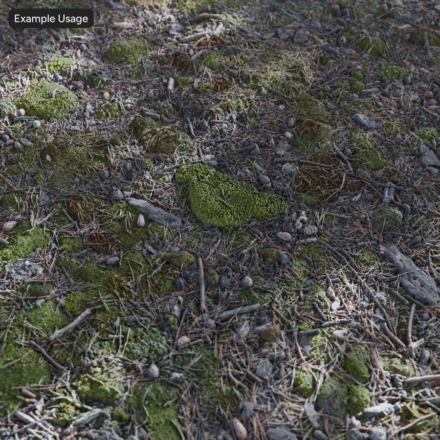 Woody Debris and Patchy Moss Forest Texture