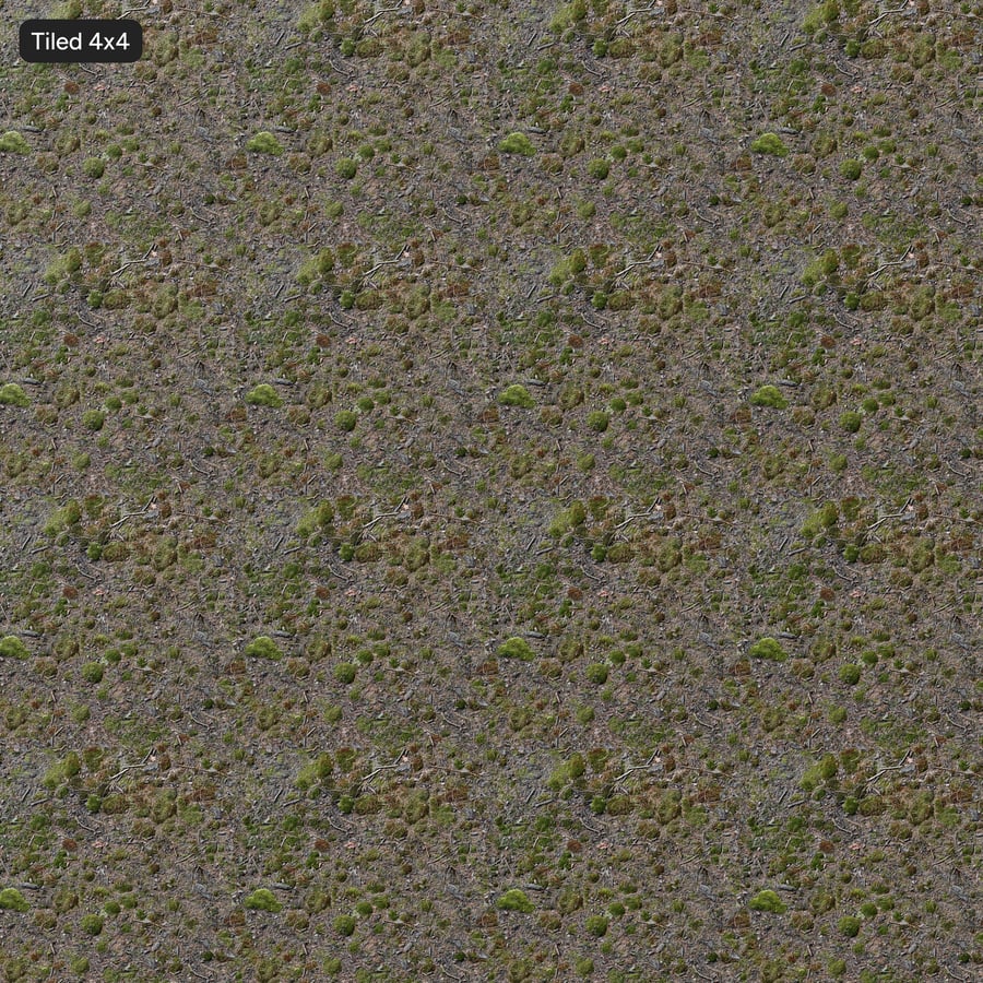 Woody Debris and Patchy Moss Forest Texture