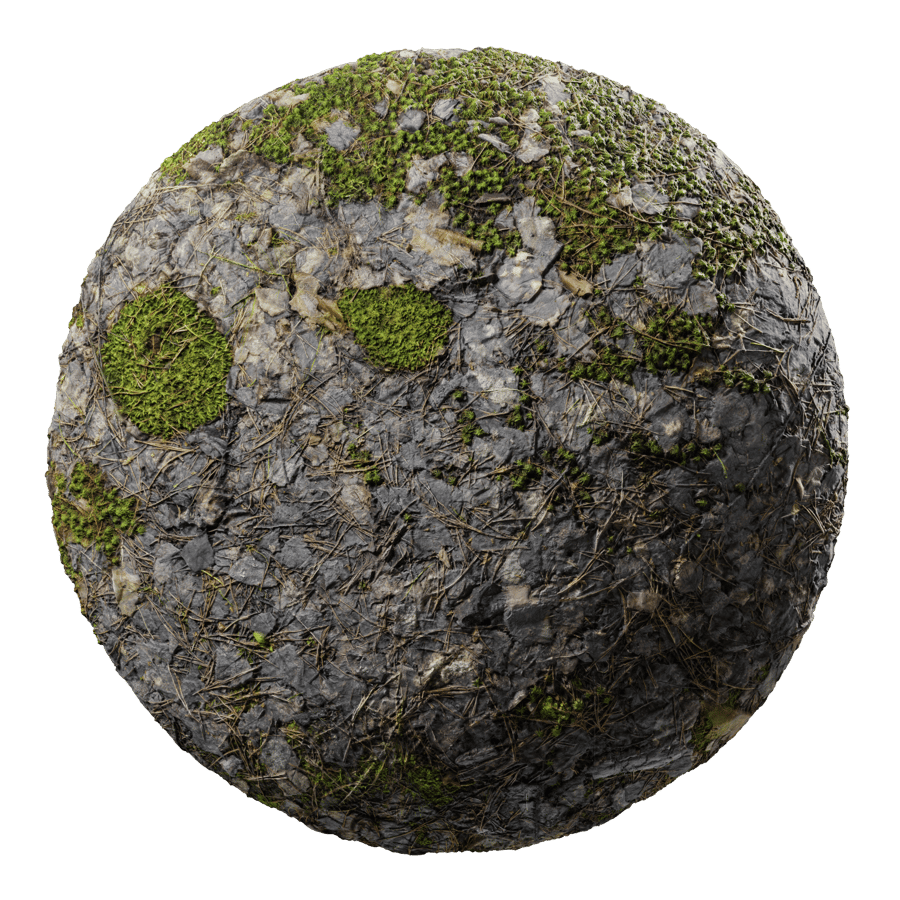 Decomposing Barks on Patchy Mossy Forest Texture
