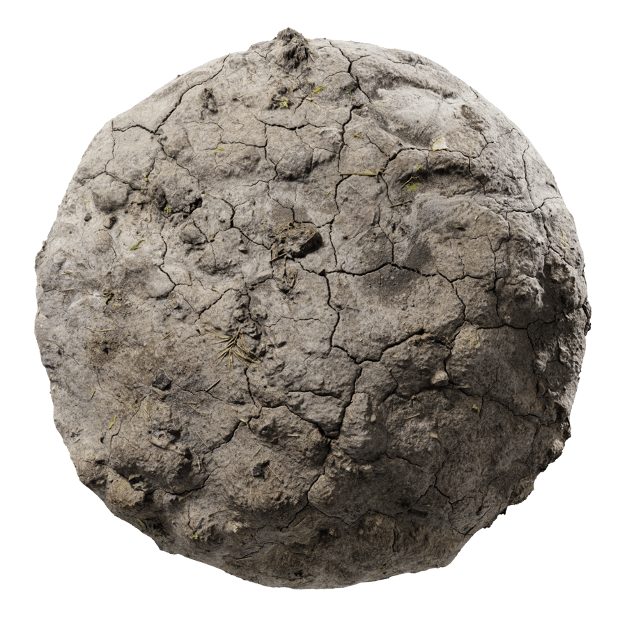 Small Weeds on Cracked Mud Texture