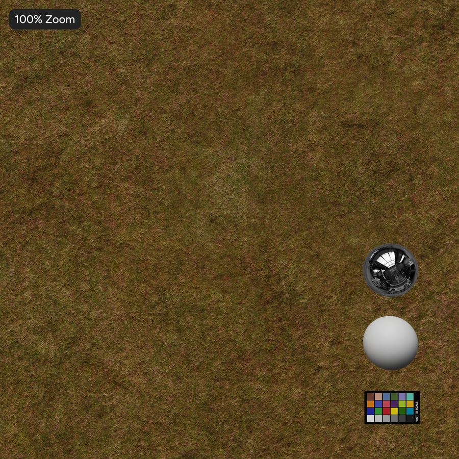 Grass Field Texture