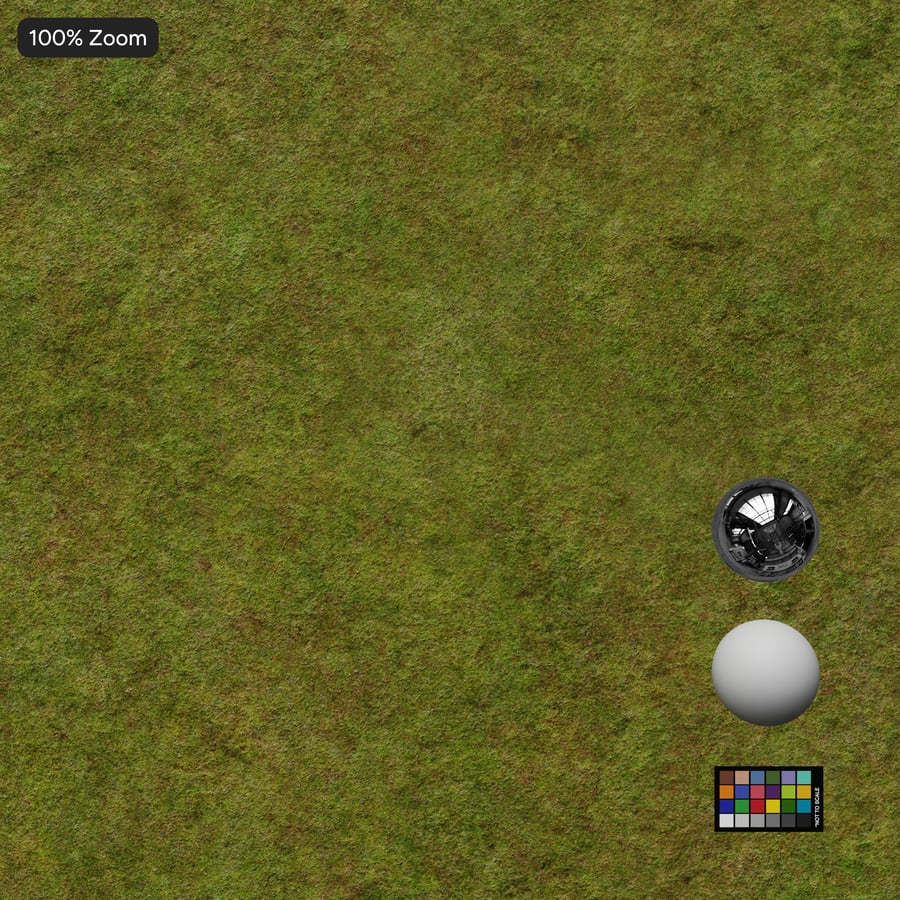 Tekstura trawiastego pola