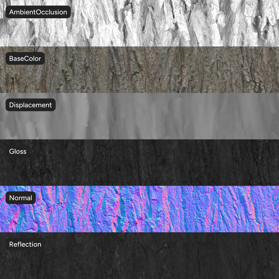 Pappelrinde Textur