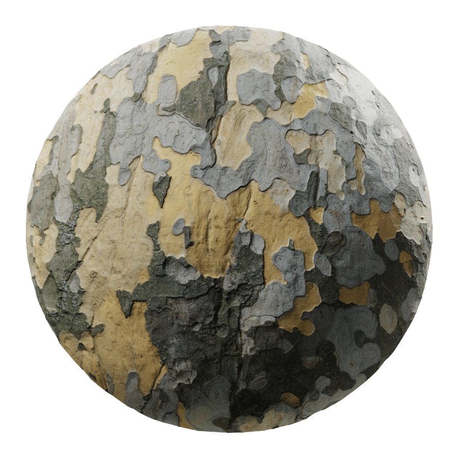 Bold Mottled Sycamore Bark Texture