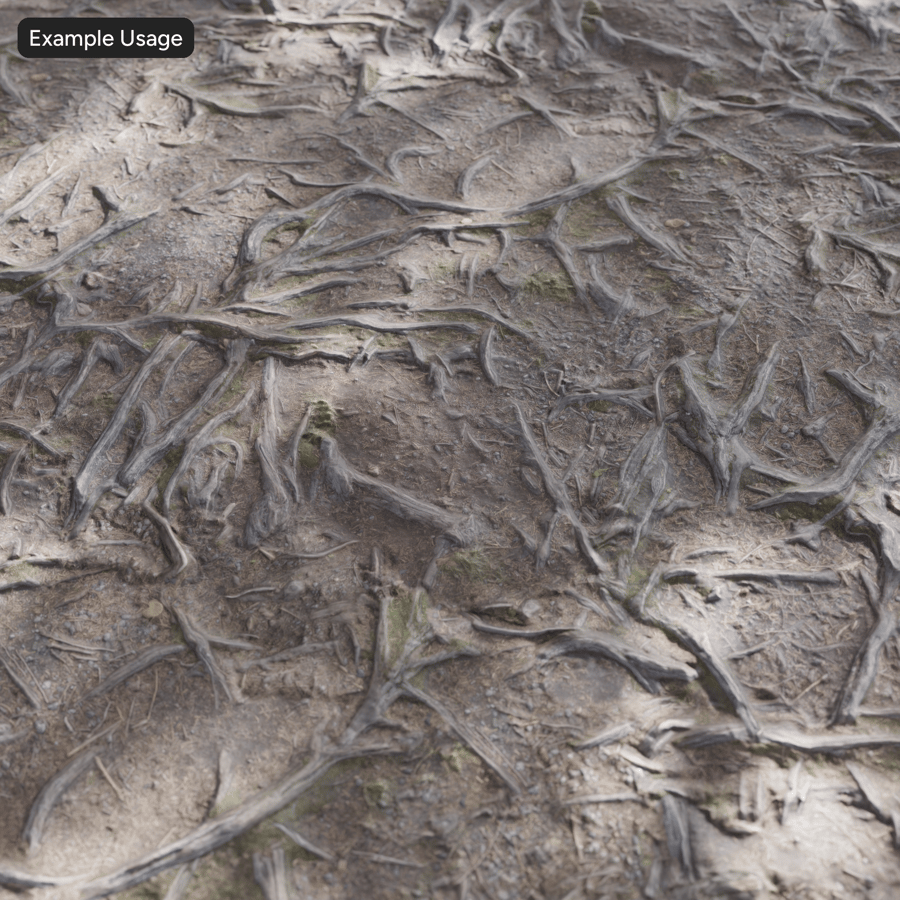 Tree Roots Forest Texture