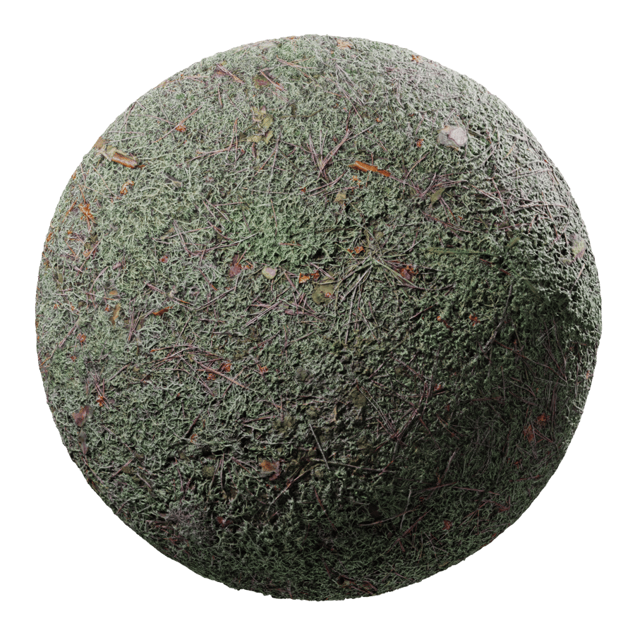 Moss Texture, Pale Green