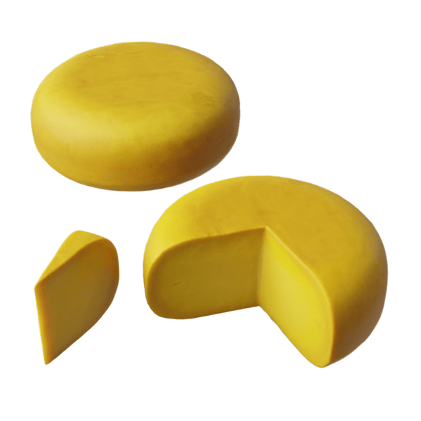 Queijo Gouda em fatias Modelo alimentar