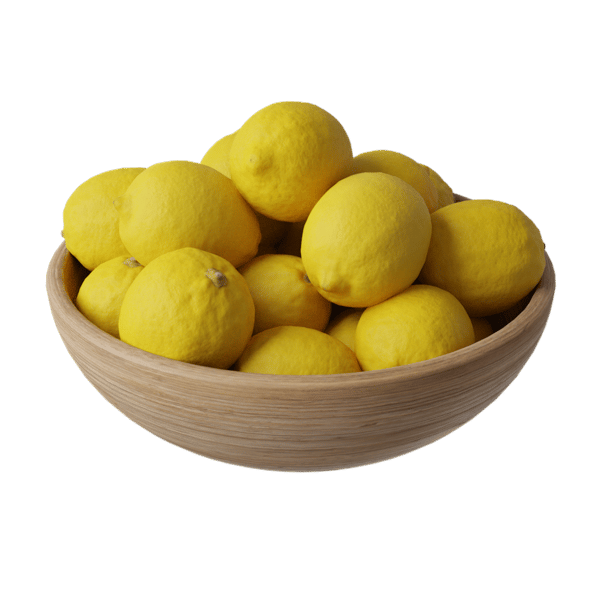 Zitronenfruchtschale Food Model