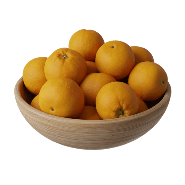 Orange Fruit Bowl Lebensmittel Modell