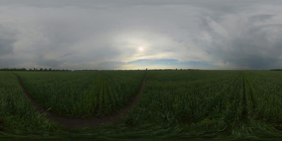Mgliste pochmurne popołudnie na świeżym powietrzu Niebo HDRI