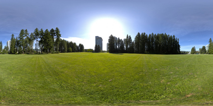 Trawiaste pole Mglisty dzień Niebo w plenerze HDRI