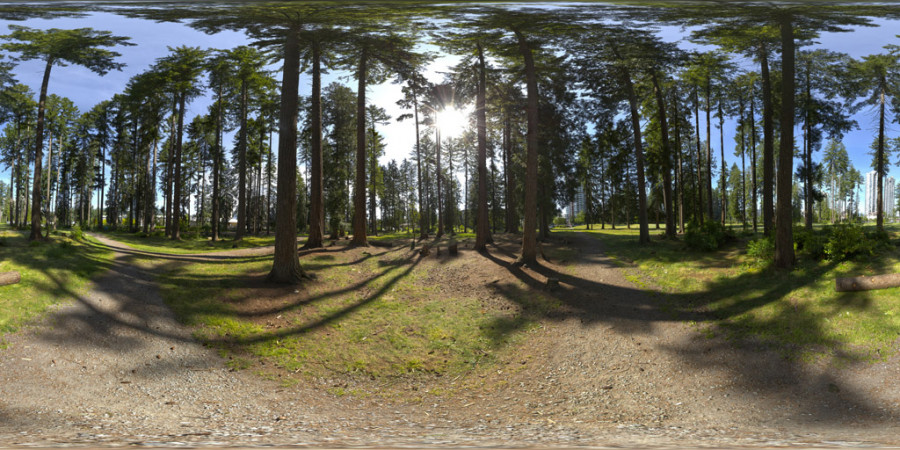 Đường mòn Park Forest – Buổi chiều trời quang đãng – Không gian ngoài trời – HDRI