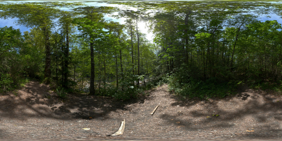 Đường mòn Park Forest: Bầu trời ngoài trời vào giữa trưa, ảnh HDRI