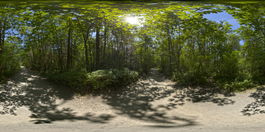 Đường mòn Park Forest – Buổi sáng trời quang đãng – Khung cảnh ngoài trời – HDRI