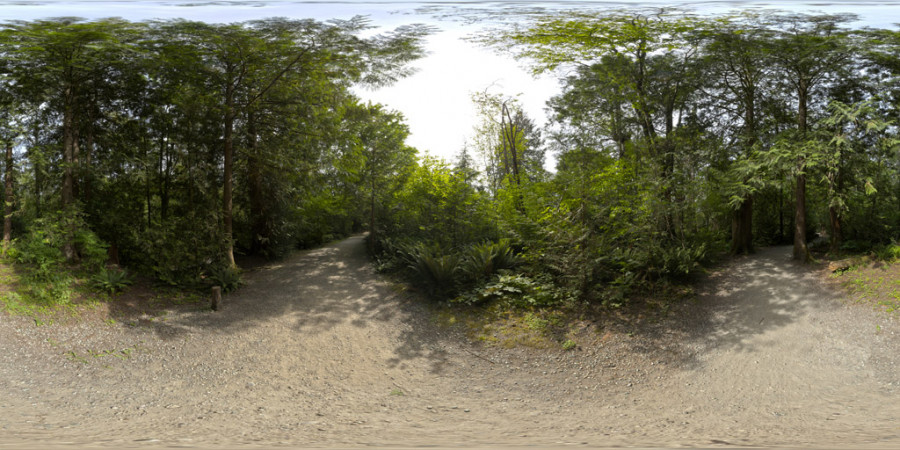 Đường mòn Park Forest – Ngày sương mù – Bầu trời ngoài trời – HDRI