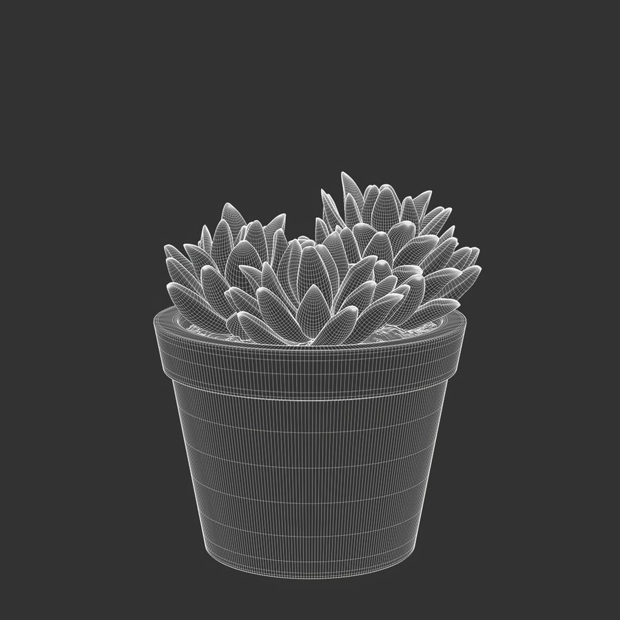 Baby Agave Plant Model soczystej rośliny doniczkowej