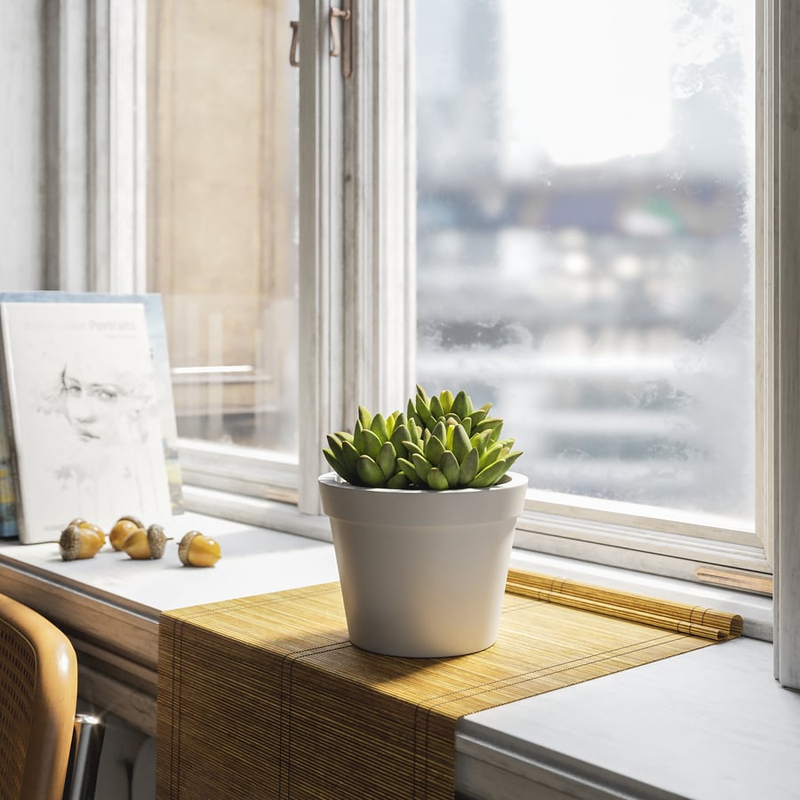 Baby Agave Plant Model soczystej rośliny doniczkowej