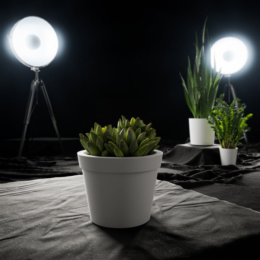Baby Agave Plant Model soczystej rośliny doniczkowej