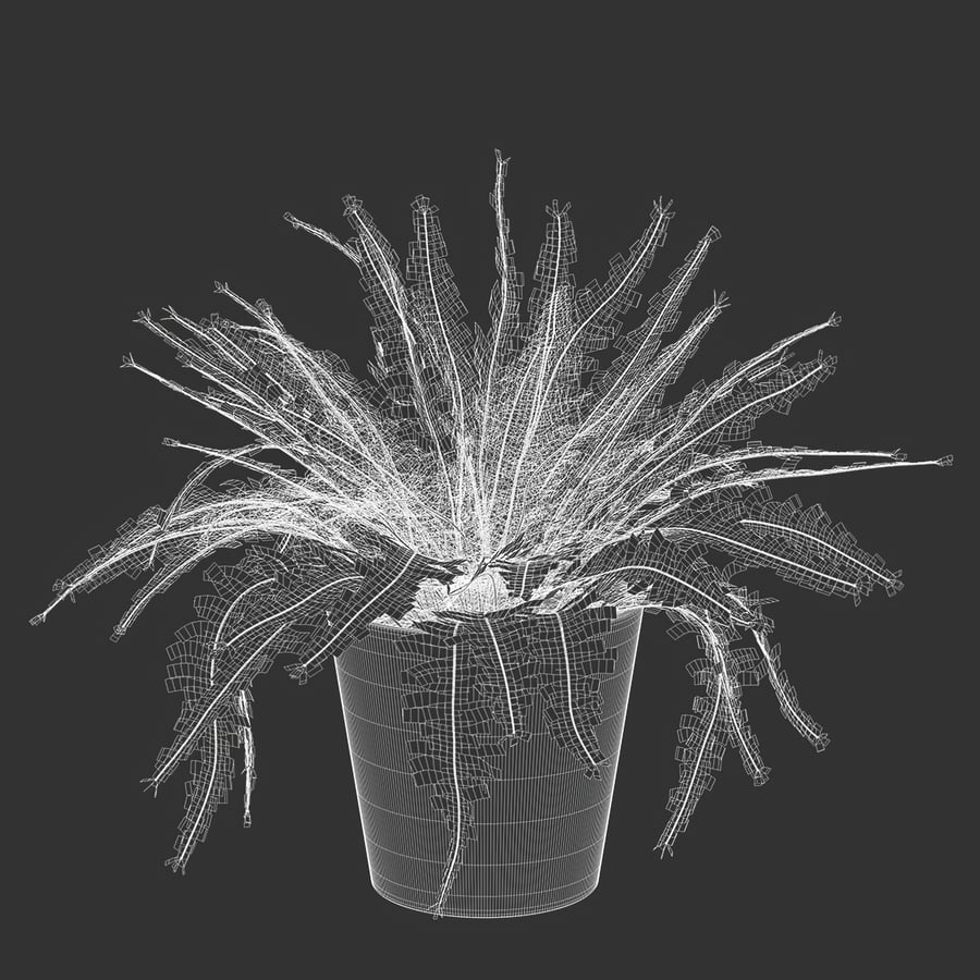 Model rośliny doniczkowej Boston Fern