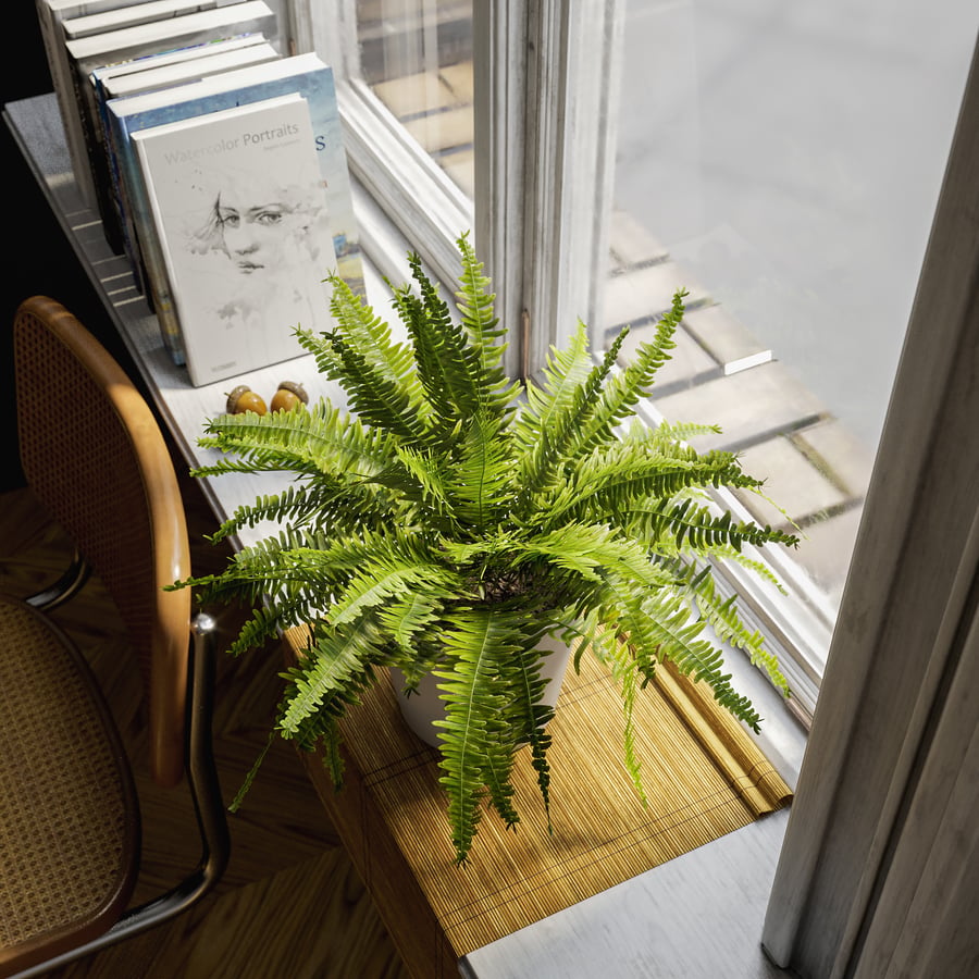 Model rośliny doniczkowej Boston Fern
