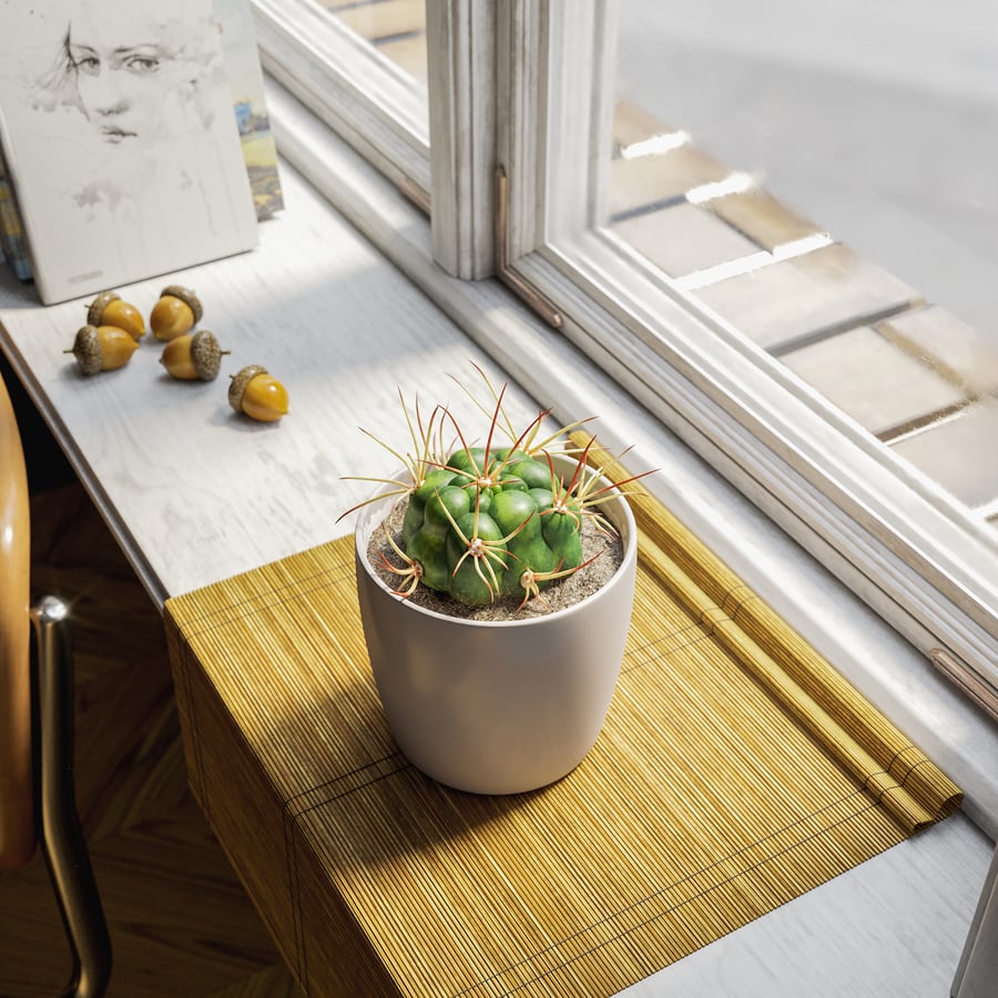 Baby Euphorbia Cactus Potplant Model