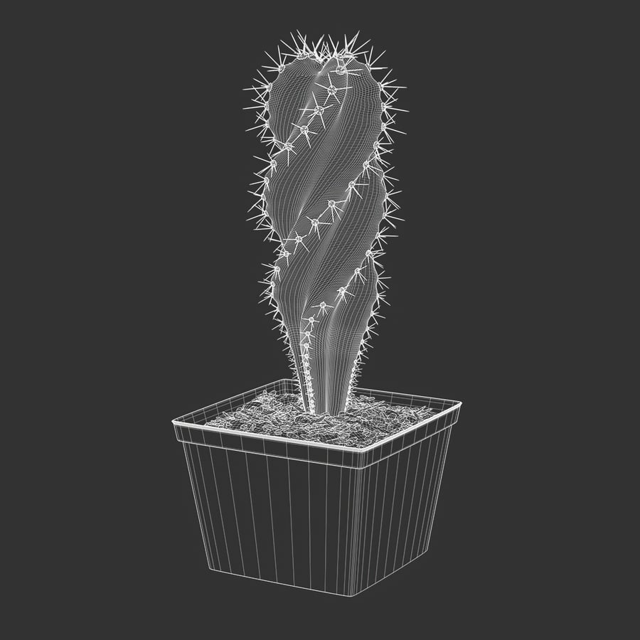 Model Tanaman Pot Kaktus Spiral