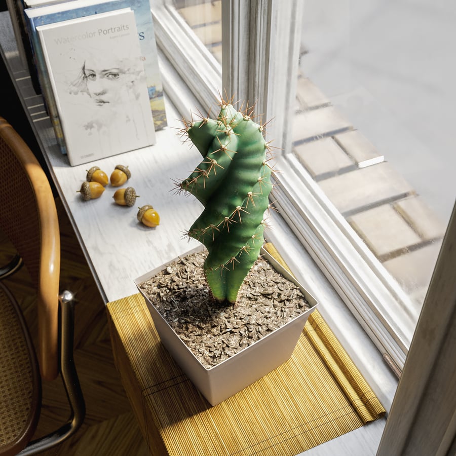 Model Tanaman Pot Kaktus Spiral