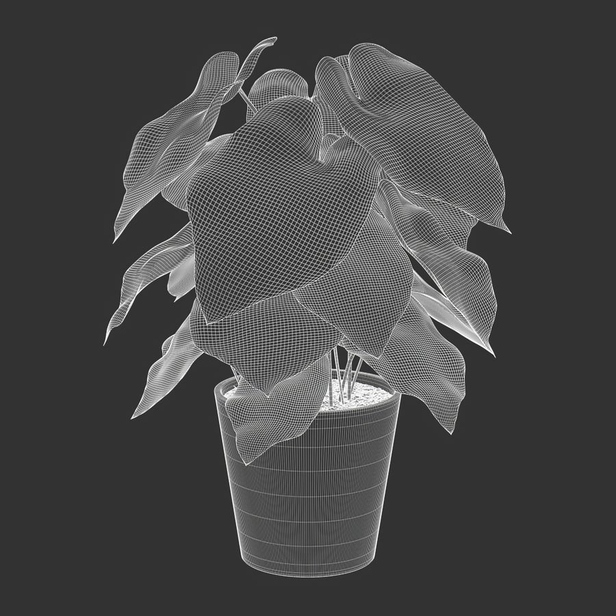 Model rośliny doniczkowej Caladium, jasnozielony