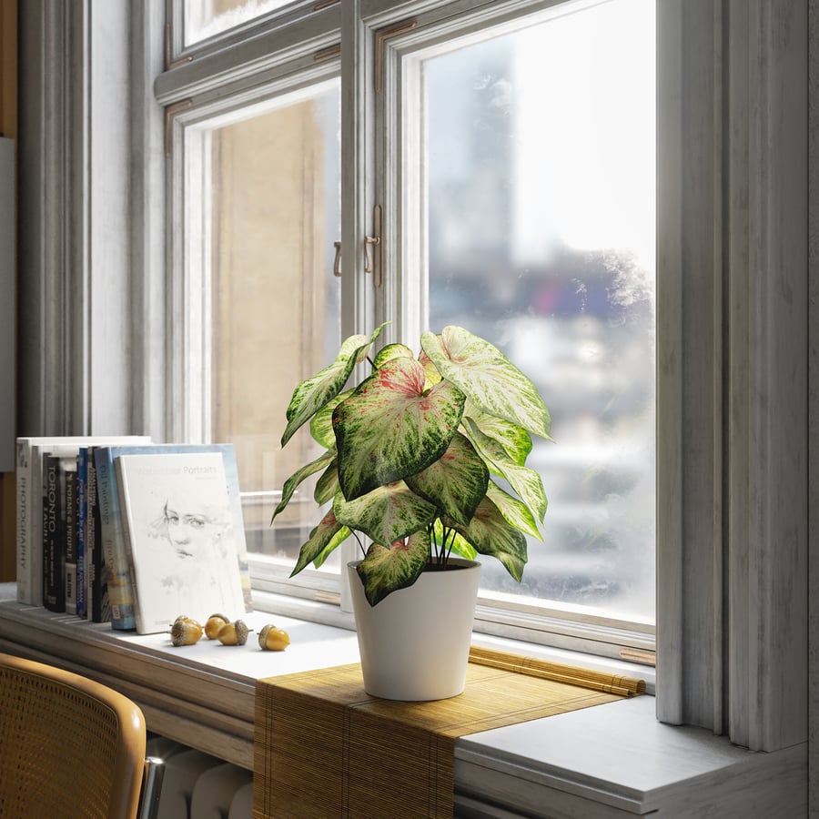 Model rośliny doniczkowej Caladium, jasnozielony