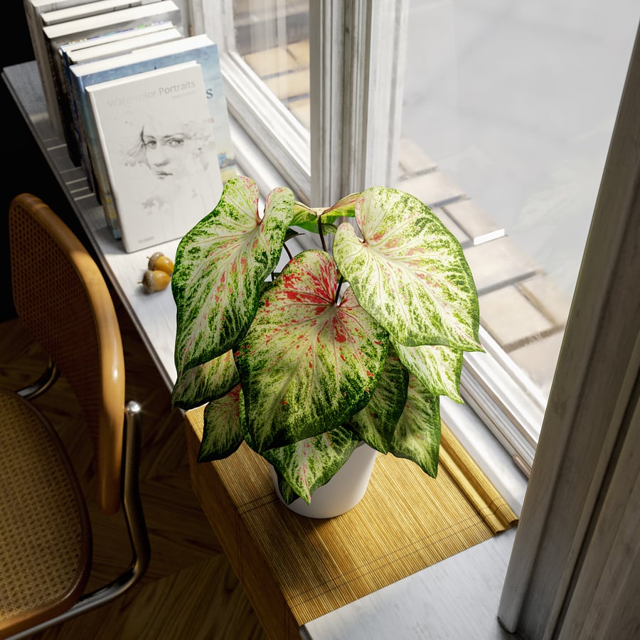 Model rośliny doniczkowej Caladium, jasnozielony