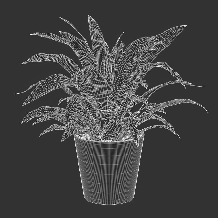 Model rośliny doniczkowej Dracaena, limonka cytrynowa