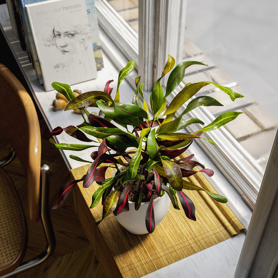 Model rośliny doniczkowej Mammy Croton Plant