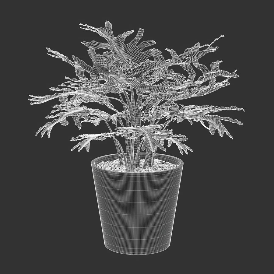 Model rośliny doniczkowej Filodendron
