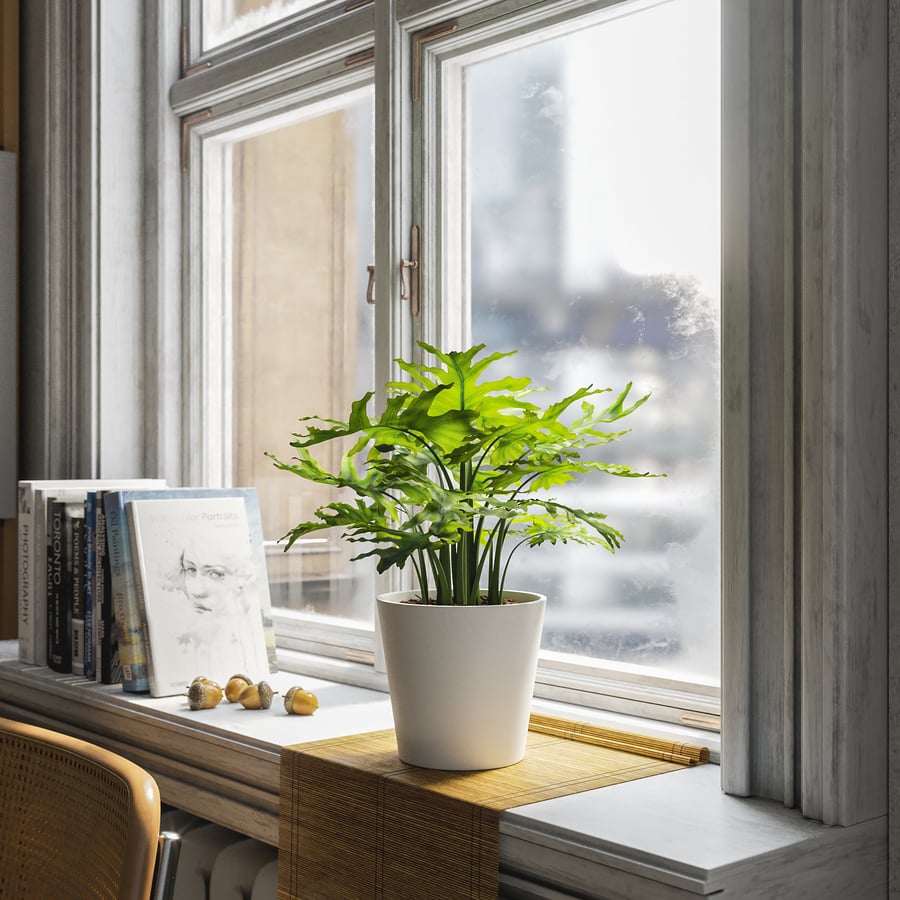 Model rośliny doniczkowej Filodendron