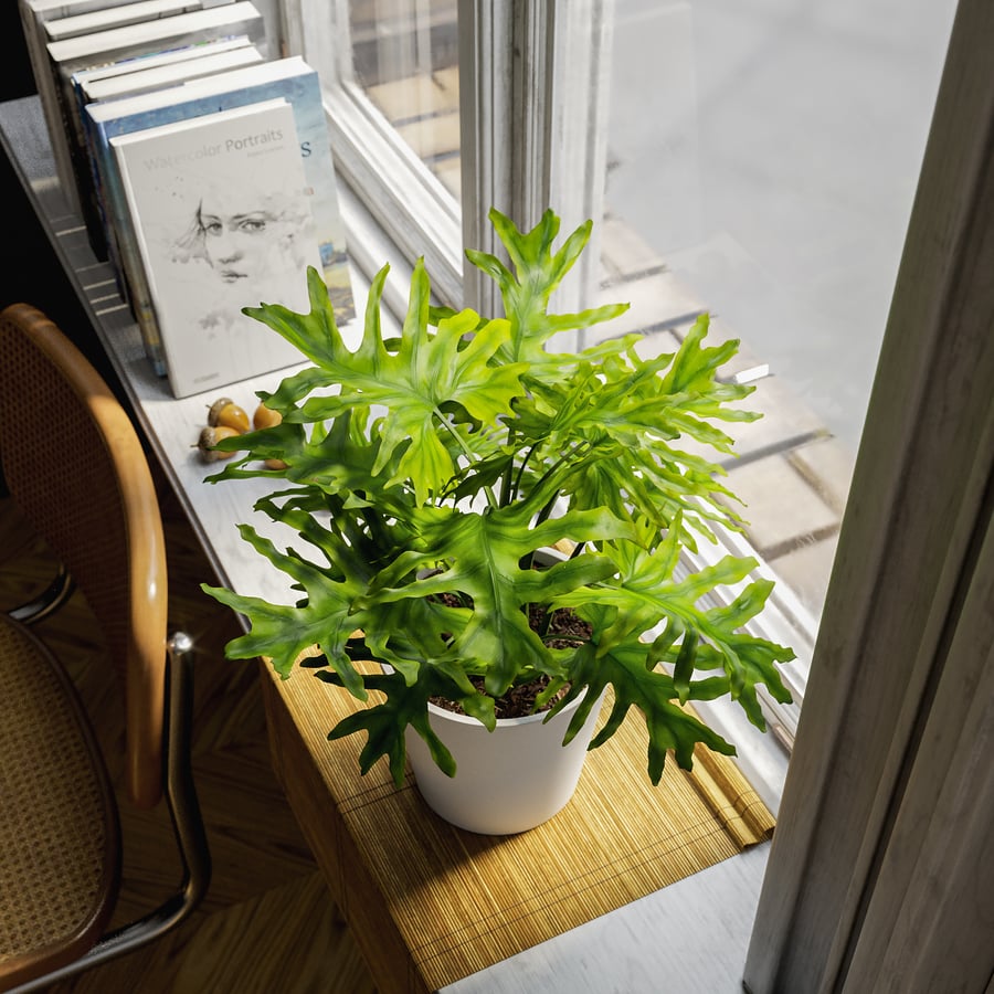 Model rośliny doniczkowej Filodendron